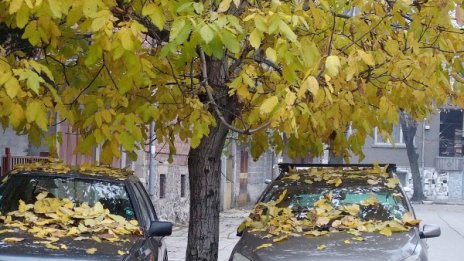 И днес дъжд, до дни – сняг. От четвъртък застудява