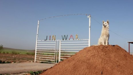 Земята на жените: Сирийско село, в което мъжки крак не стъпва!
