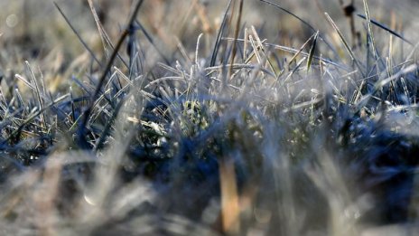 Слънчево и без валежи утре. Температурите до 8°C