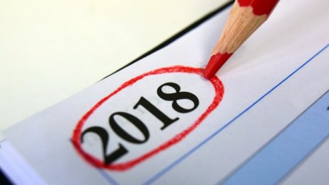 Шантавата 2018 година: Куриозите: Акули и джаз, панда - мачо!!! 