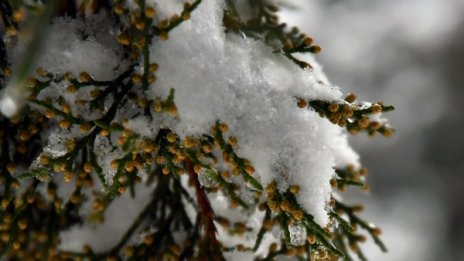 Слънчево, но пък температурите до -2 градуса