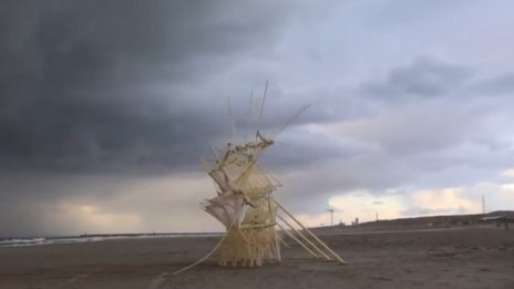 Страшно, красиво? "Плажни зверове" оживяват от вятъра