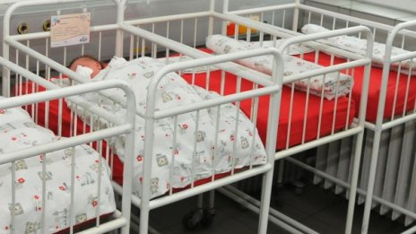 Рашко на 15- годишната Мария на грижите на баба си. Рамбо също 