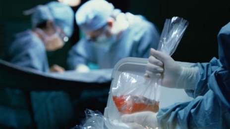 Обещания за трансплантации: Промени – няма, хора умират!