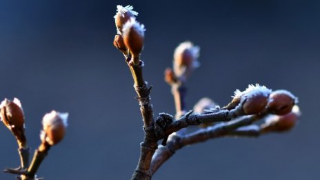 Днес – най-студеният ден, на места живакът ще покаже -20°C