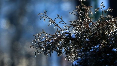 Силният вятър остава, времето обаче се затопля