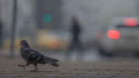 В София се диша трудно! Най-мръсно е в "Младост"