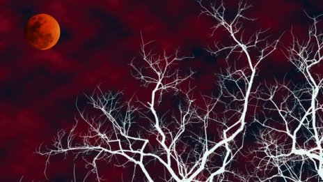 Лунният спектакъл "три в едно" – как ще се отрази на всяка зодия?