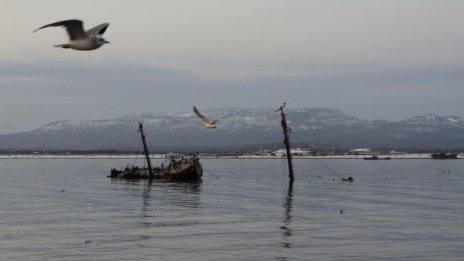 Те са богати на.... Островите, които тровят японско-руските отношения