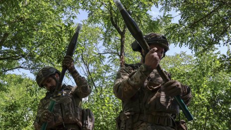 Украйна или битката за приобщаването на най-голямата армия в Европа към ЕС