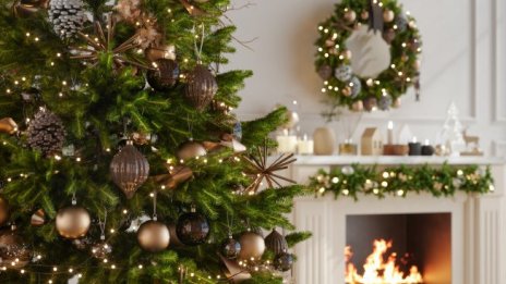 Какво символизира коледната украса по света?