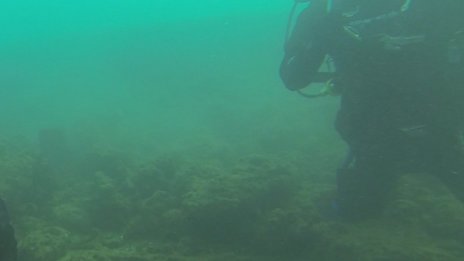 Водолази ще чистят морското дъно около рибарското пристанище в Созопол