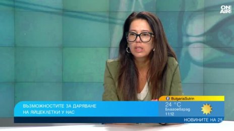 Донорите не достигат: България чака година или внася яйцеклетки