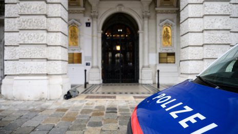 Детски рожден ден във Виена завърши със... седем ранени полицаи