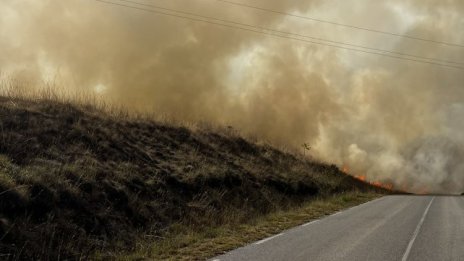 Три коли изгоряха при пожар в автокъща от пламнал житен масив