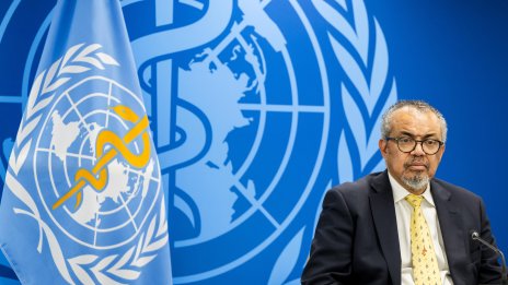 Испания предупреди СЗО за вирус на свински грип, предаван от човек на човек