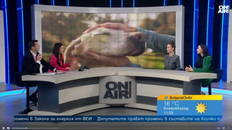 Конкурсите за красота често са обвързани с благотворителна кауза