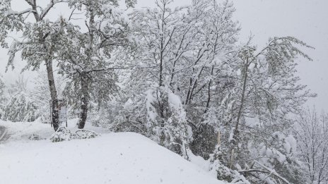 Петима чуждестранни туристи загинаха при снежна буря в Чили