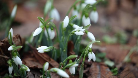 Януари 2026 г. е сред 5-те най-топли в историята въпреки студените вълни