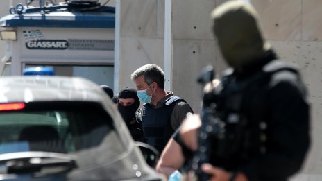В Гърция: Жена беше глобена с 30 000 евро за убийство на котка