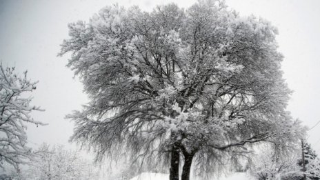 Идват нови валежи от сняг и дъжд, температурите 0°