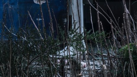 Спокойни старини в България? Германската мечта, която днес е в бурени 