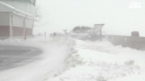 Арктическият супер студ взе жертви в САЩ 