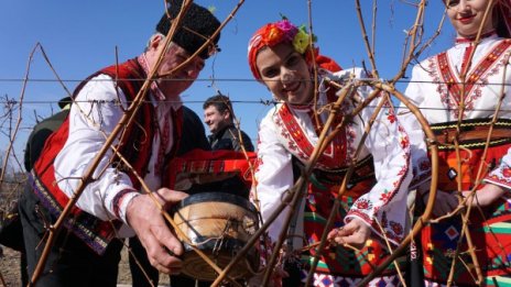 Празник на лозари, кръчмари... Почитаме Св. Трифон Зарезан