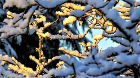 Февруари започва със слънце, температурите - между 9° и 14°