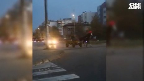 В Казанлък поискаха пълна забрана на каруците на пътя