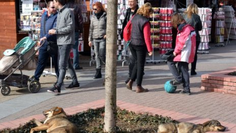 Топло време и температурен рекорд в Хасково