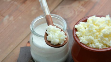 5 пробиотични храни за добро храносмилане