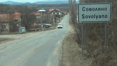 Жестокост: 12 животни убити в Кюстендилско до детска градина