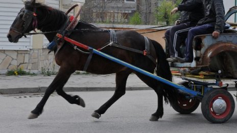 Кола връхлетя на каруца, мъж е с опасност за живота 