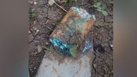Избиват домашни кучета в Банкя, отровата - директно в двора