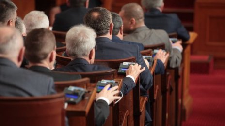 Нито лев за депутат, ако не стъпва в пленарната зала!