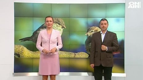 Зимата си тръгва днес. Уикендът топъл и приятен