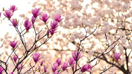 Градусите се покачват днес, ще достигнат 21