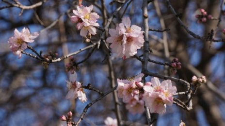 Седмицата започва със слънце и температури до 25 градуса