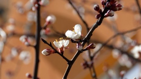 Малко облаци и утре, но слънчевите часове ще са повече 
