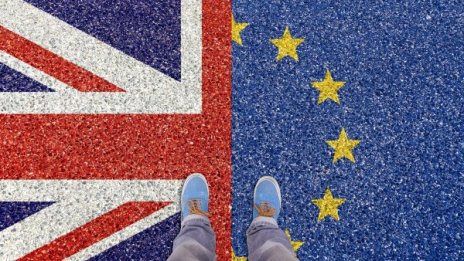 Експерт: Brexit отвлича вниманието от важните теми в ЕС 
