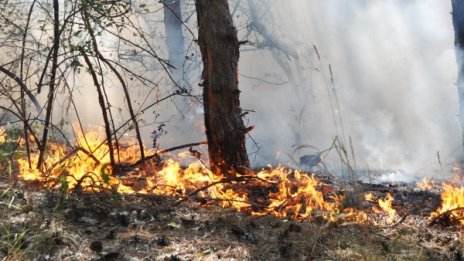 В пожарната назначените били повече от напусналите 