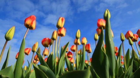 Седмицата идва със слънце, градусите до 23&deg;C