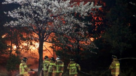Горски пожари заплашват 5 града в Южна Корея