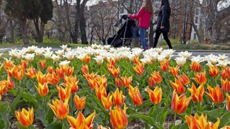 Утре ще е облачно, ще превали в югозападните райони