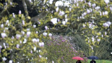 Неделя идва с облаци и дъжд, градусите до 19&deg;С 