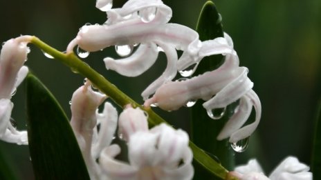 Време без промяна: Облачно, хладно, с интензивни валежи утре