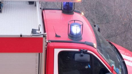 Подпалиха вековни секвои край Кюстендил