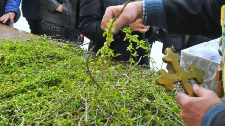 Цветница е! Внесете  върбови клонки в дома си