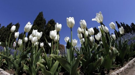Времето на Разпети петък: Слънчево и температури до 28&deg;C